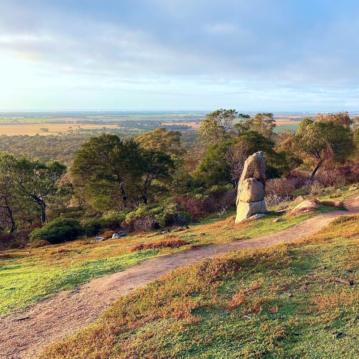 Trail runners competing in Australian mountain and forest trail events